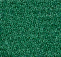 Ковровая плитка Tessera Chroma 3620 Evergreen фото 1 | FLOORDEALER